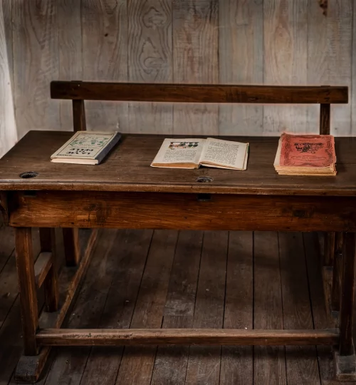 Bois - Thierry Ewangelista