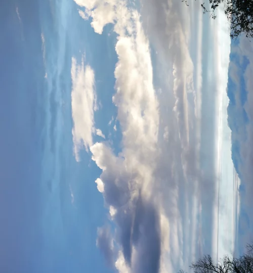 Infini-Martine-Leymerigie